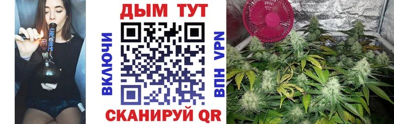 цены наркотик  Суровикино  MEGA ONION  Шишки марихуана SATIVA & INDICA 